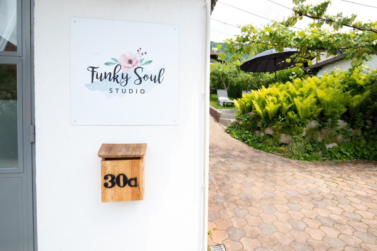 Funky Soul Studio Жировница Экстерьер фото